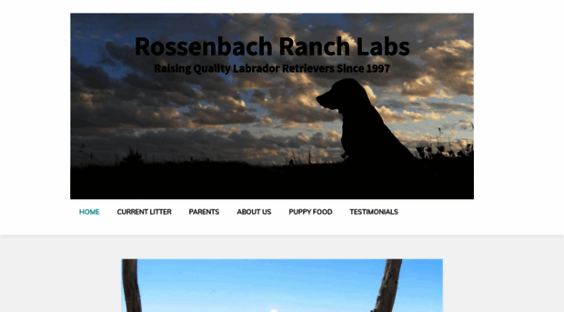 rossenbachranchlabs.com