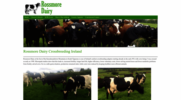 rossmoredairy.ie