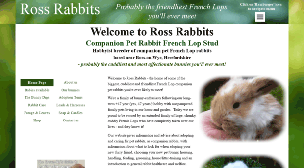 rossrabbits.co.uk