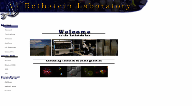 rothsteinlab.com