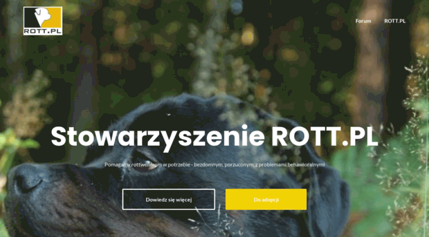 rott.pl