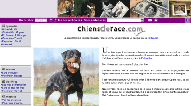 rottweiler.chiensderace.com