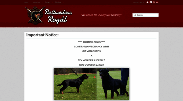 rottweilersroyal.com