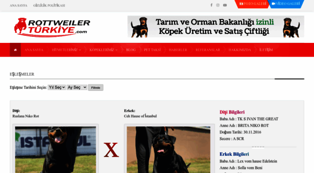 rottweilerturkiye.com