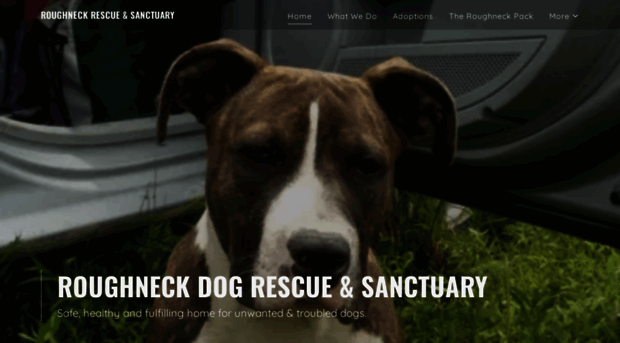 roughneckrescue.org