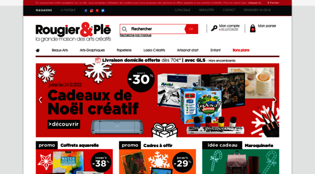 rougier-ple.com