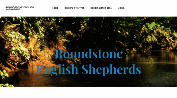 roundstoneenglishshepherds.com