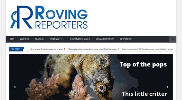 rovingreporters.co.za