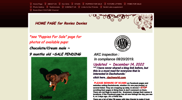 roxiesdoxiesminis.com