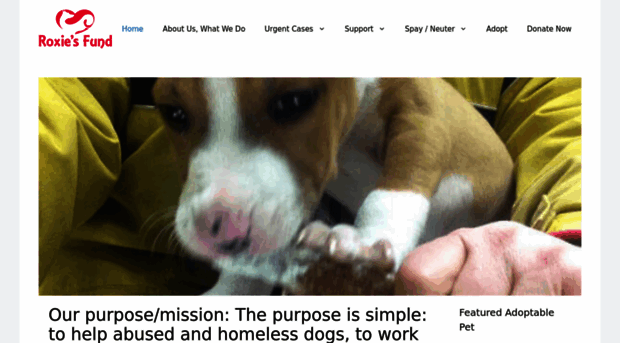 roxiesfund.org