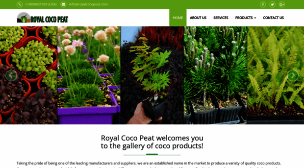 royalcocopeat.com