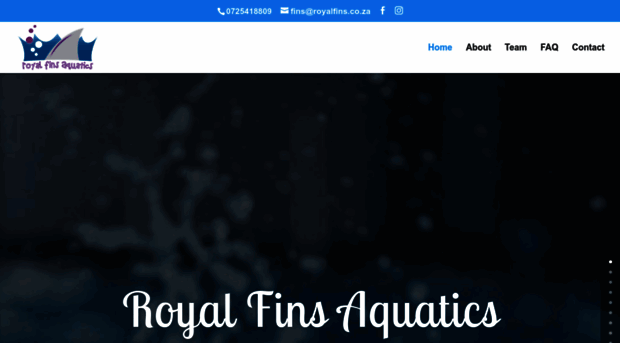 royalfins.co.za
