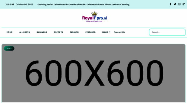 royalfocuspro.nl