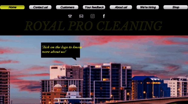 royalprocleaningllc.com