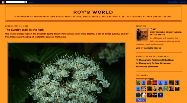 roys-world.blogspot.com