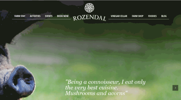 rozendal.co.za