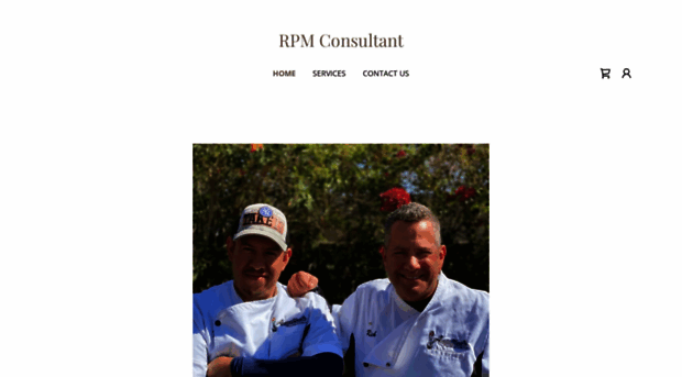 rpmconsultant.com