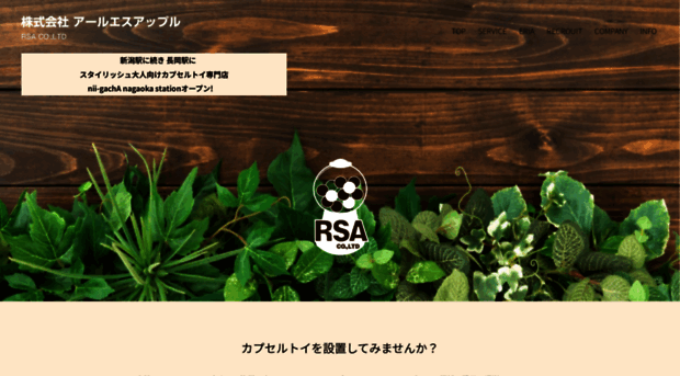 rs-apple.com