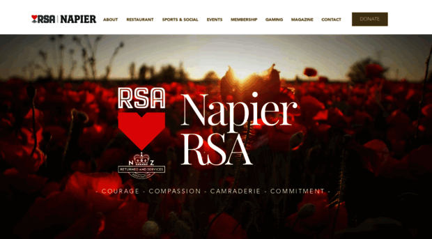 rsanapier.co.nz