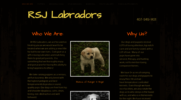 rsjlabradors.com