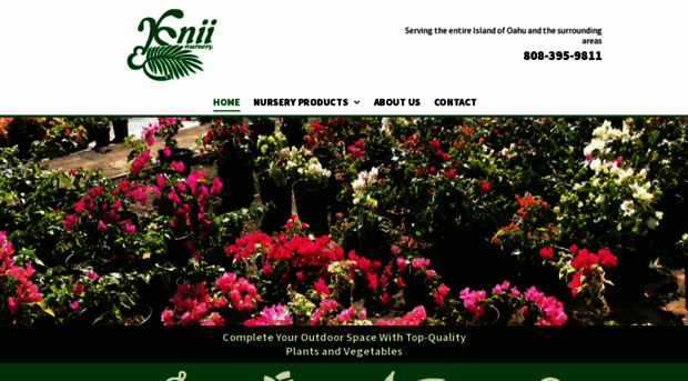 rsniinursery.com