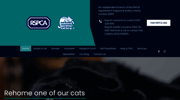 rspca-ashforddistrict.org.uk