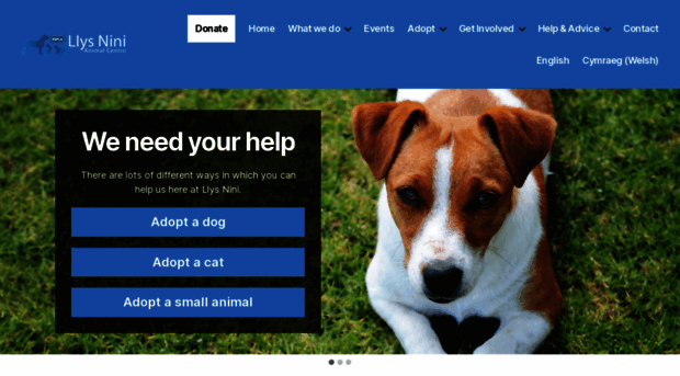 rspca-llysnini.org.uk