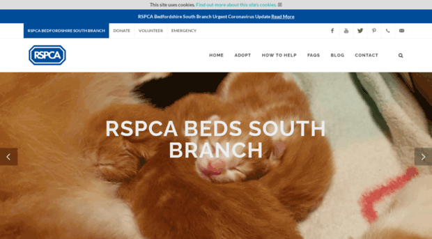 rspca-online.co.uk