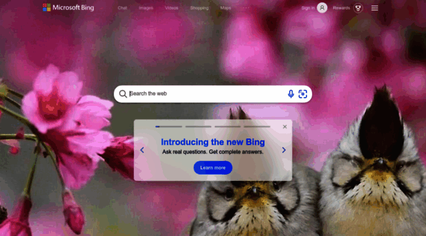 ru.bing.com