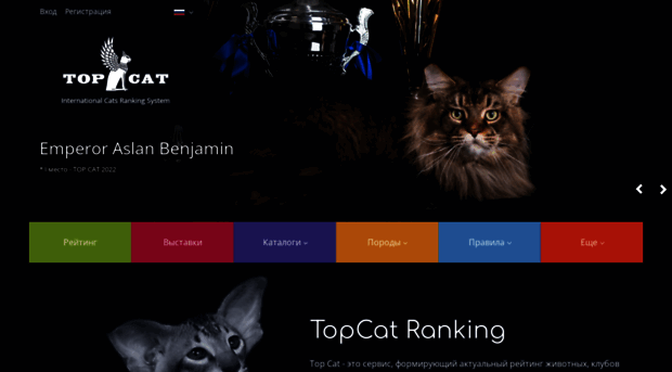 ru.top-cat.org