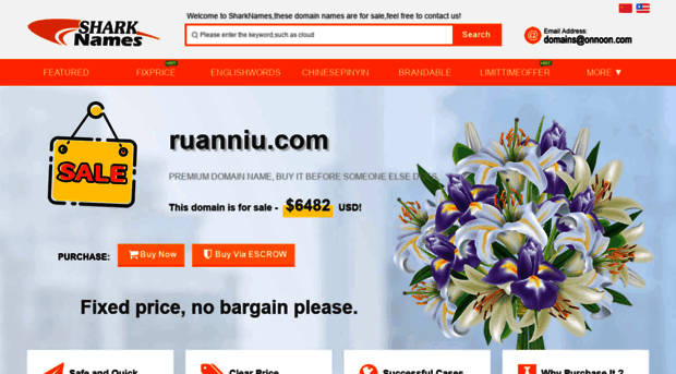 ruanniu.com