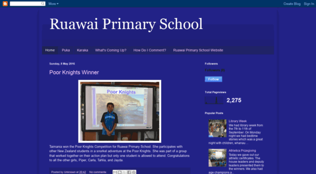 ruawaiprimaryschool.blogspot.co.nz