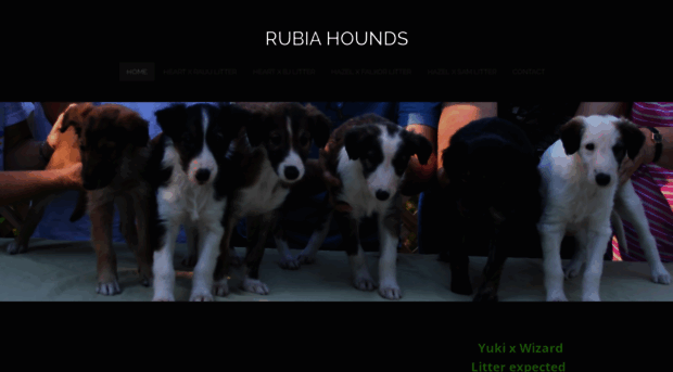 rubiahounds.com