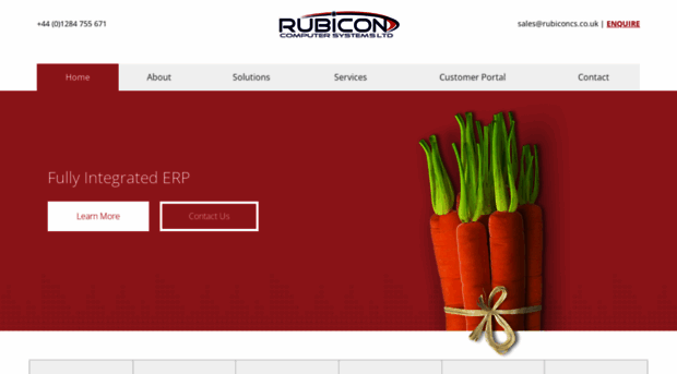 rubiconcomputersystems.co.uk