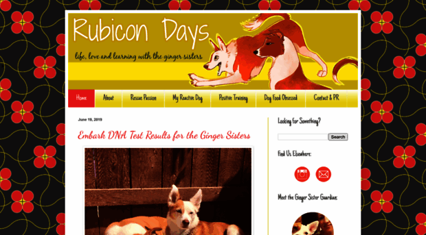 rubicondays.com