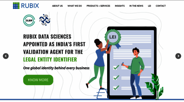 rubixdatasciences.com