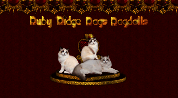 rubyridgerags.com