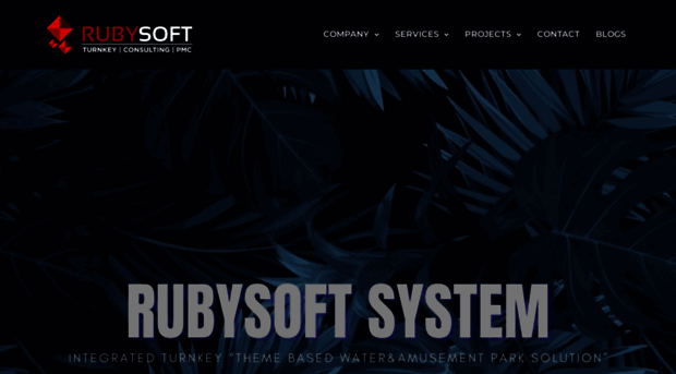 rubysoftsystem.com