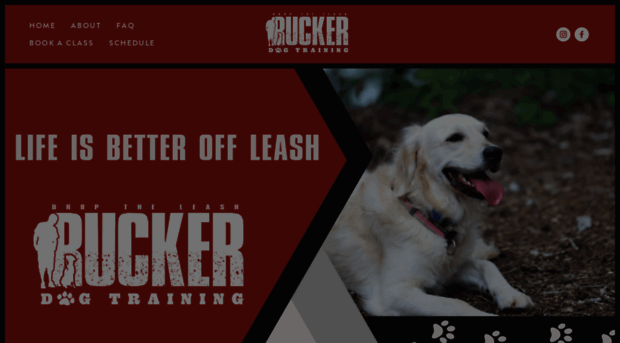 ruckerdogtraining.com