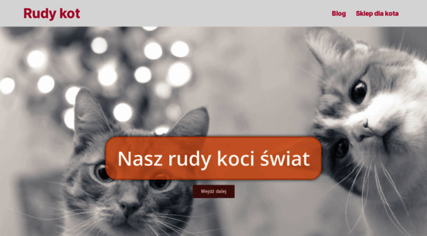 rudy-kot.pl