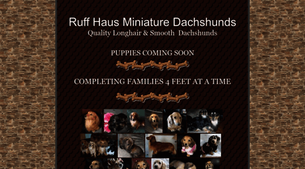 ruffhausdachshunds.net