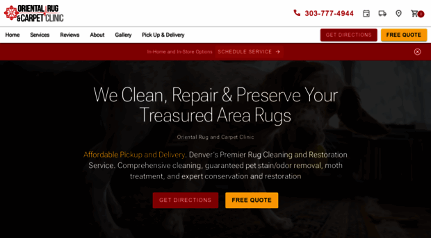 rugandcarpetclinic.com