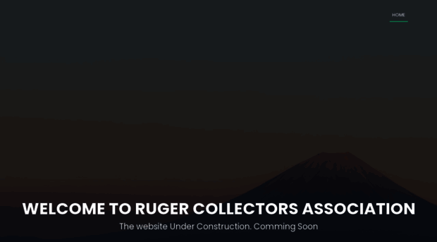 rugercollectorsassociation.com