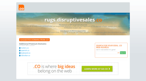 rugs.disruptivesales.co