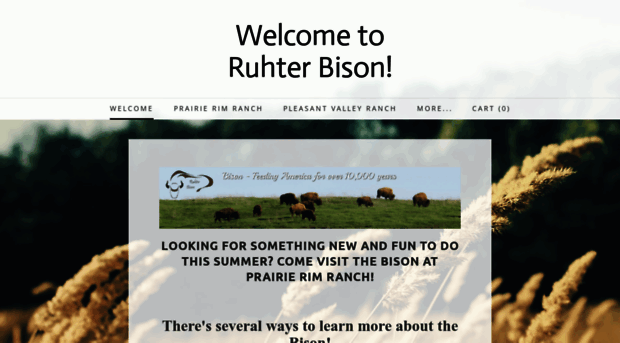 ruhterbison.com