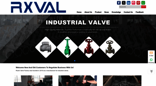 ruixinvalves.com