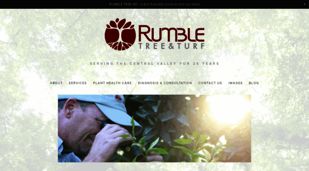 rumbletreeinc.com