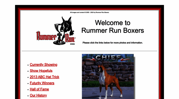 rummerrunboxers.com