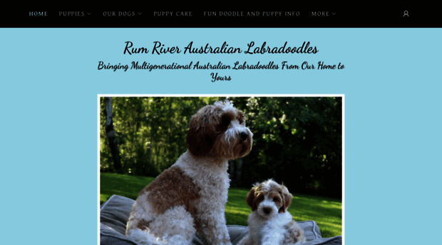 rumriverlabradoodles.com