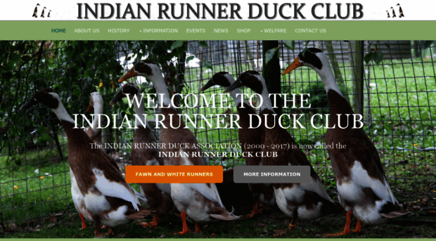 runnerduck.net